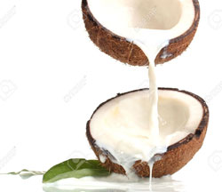 instant-coconut-powder